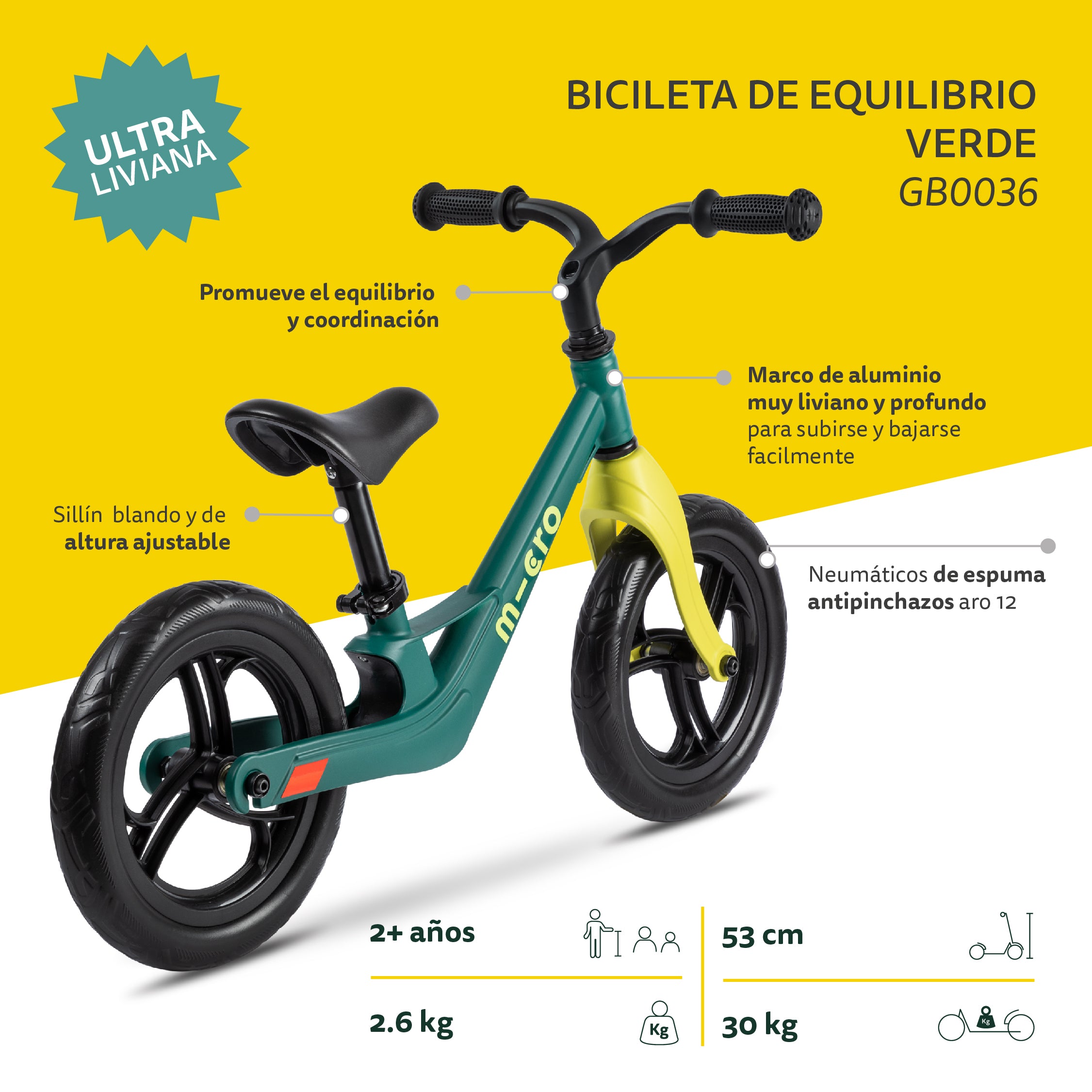 Micro Bicicleta Equilibrio Verde